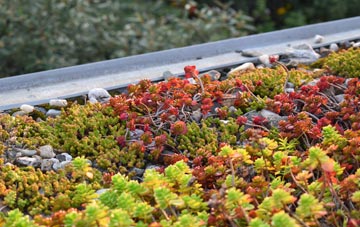the cost of Rosebush green roof installation