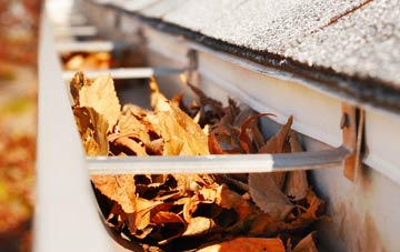 Rosebush gutter cleaning companies