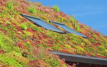 Rosebush living roof systems