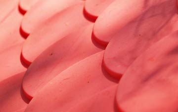 Rosebush plastic roof costs