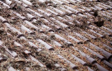 Rosebush roof cleaning companies