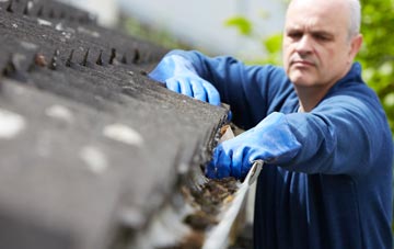 cleaning and inspecting Rosebush roofs