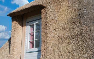 Rosebush thatch roof disadvantages