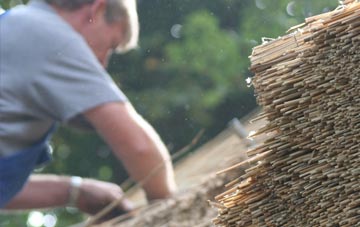 professional Rosebush thatchers