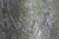 Rosebush fibreglass roof work