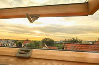 rated Rosebush roof window companies